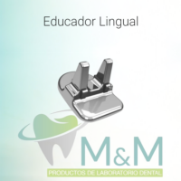Educador Lingual
