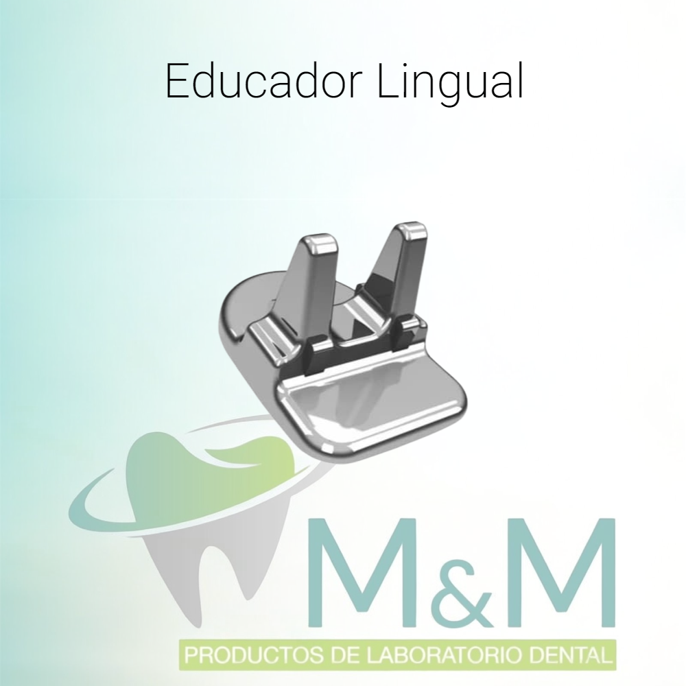 Educador Lingual